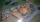 sd_60257d4339dff